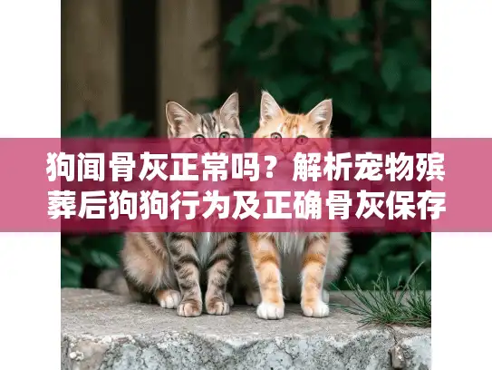 狗闻骨灰正常吗？解析宠物殡葬后狗狗行为及正确骨灰保存方式