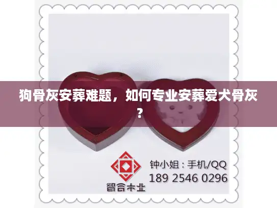 狗骨灰安葬难题，如何专业安葬爱犬骨灰？