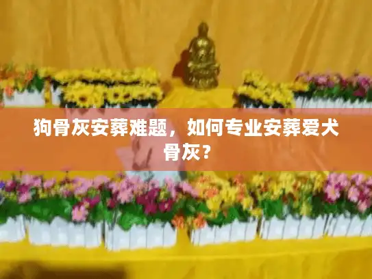 狗骨灰安葬难题，如何专业安葬爱犬骨灰？