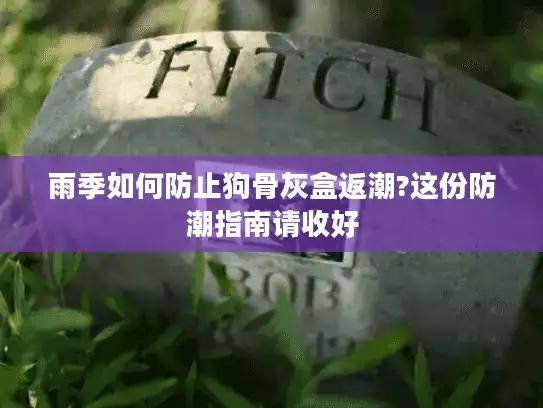 雨季如何防止狗骨灰盒返潮?这份防潮指南请收好