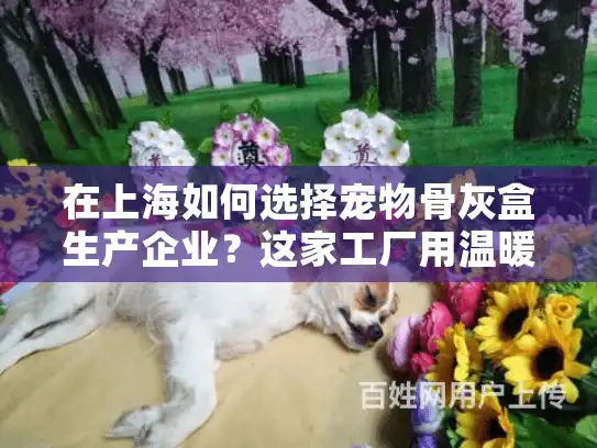 在上海如何选择宠物骨灰盒生产企业？这家工厂用温暖设计治愈主人