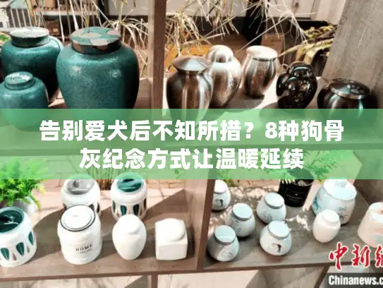 告别爱犬后不知所措？8种狗骨灰纪念方式让温暖延续