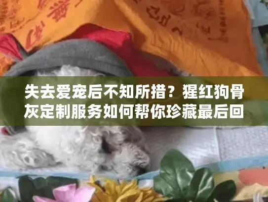 失去爱宠后不知所措？猩红狗骨灰定制服务如何帮你珍藏最后回忆