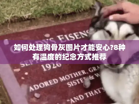如何处理狗骨灰图片才能安心?8种有温度的纪念方式推荐