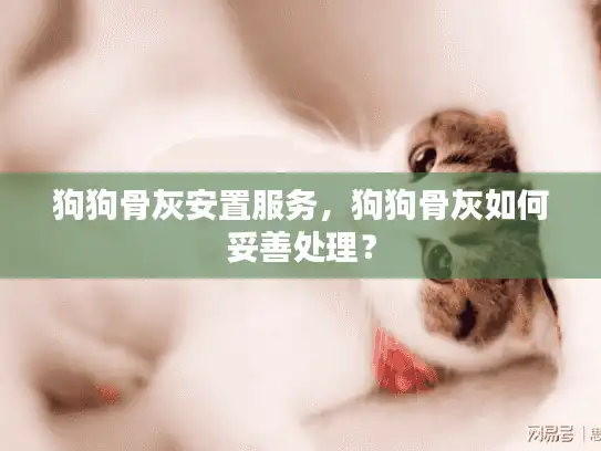 狗狗骨灰安置服务，狗狗骨灰如何妥善处理？