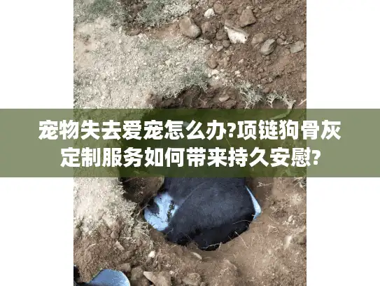 宠物失去爱宠怎么办?项链狗骨灰定制服务如何带来持久安慰?