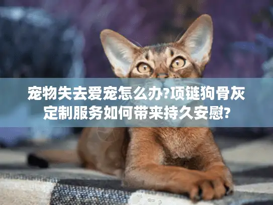 宠物失去爱宠怎么办?项链狗骨灰定制服务如何带来持久安慰?