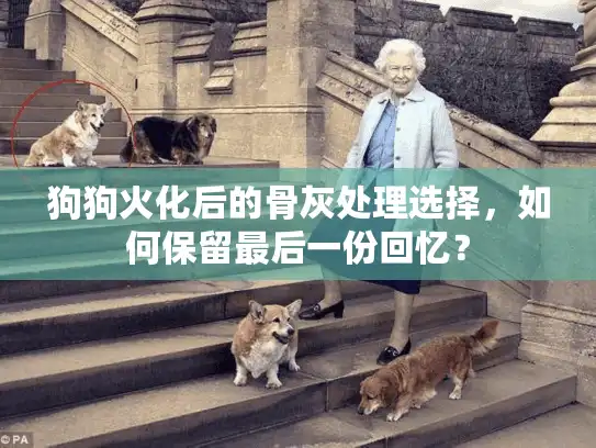狗狗火化后的骨灰处理选择，如何保留最后一份回忆？