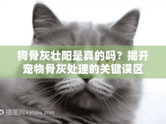 狗骨灰壮阳是真的吗？揭开宠物骨灰处理的关键误区