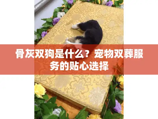 骨灰双狗是什么？宠物双葬服务的贴心选择
