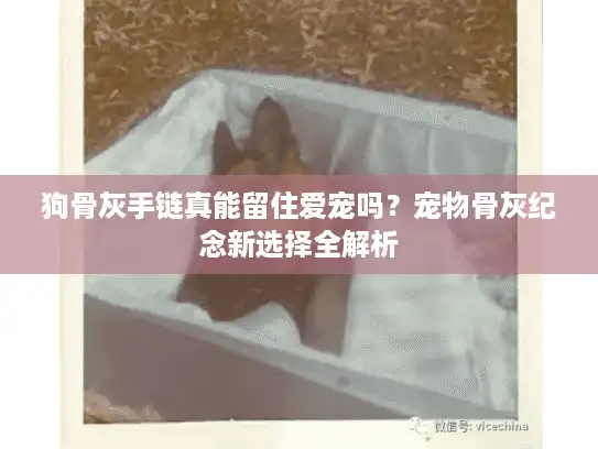 狗骨灰手链真能留住爱宠吗？宠物骨灰纪念新选择全解析