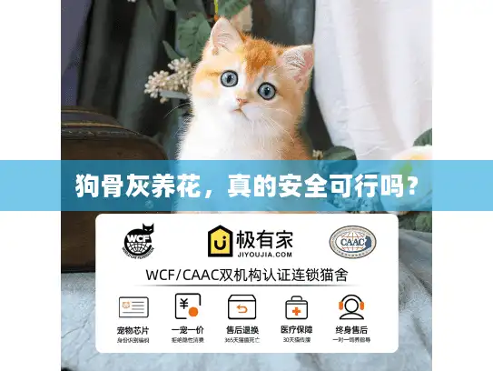 狗骨灰养花，真的安全可行吗？