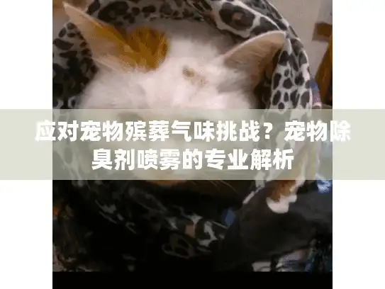 应对宠物殡葬气味挑战？宠物除臭剂喷雾的专业解析