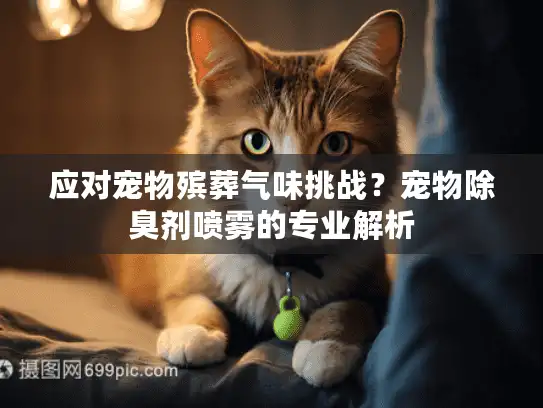应对宠物殡葬气味挑战？宠物除臭剂喷雾的专业解析