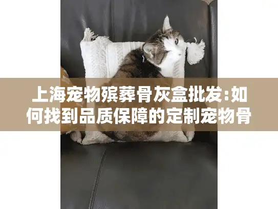 上海宠物殡葬骨灰盒批发:如何找到品质保障的定制宠物骨灰盒？