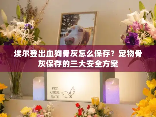 埃尔登出血狗骨灰怎么保存？宠物骨灰保存的三大安全方案