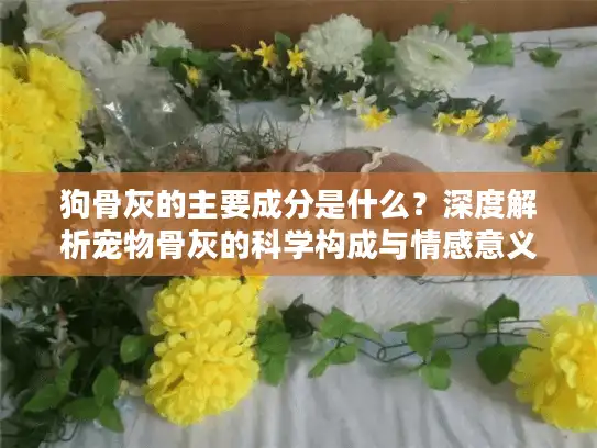 狗骨灰的主要成分是什么？深度解析宠物骨灰的科学构成与情感意义