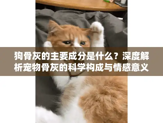 狗骨灰的主要成分是什么？深度解析宠物骨灰的科学构成与情感意义