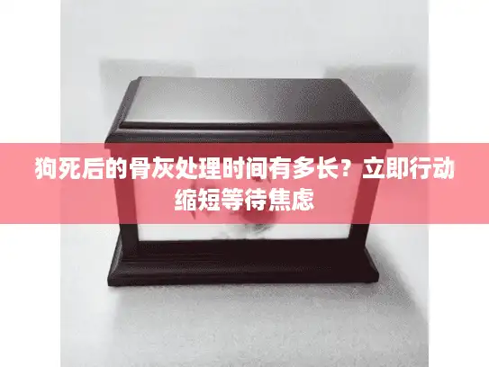 狗死后的骨灰处理时间有多长？立即行动缩短等待焦虑