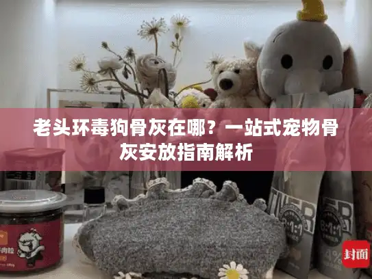 老头环毒狗骨灰在哪？一站式宠物骨灰安放指南解析