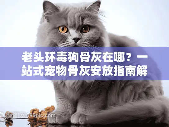 老头环毒狗骨灰在哪？一站式宠物骨灰安放指南解析