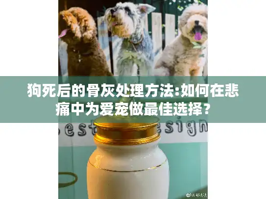狗死后的骨灰处理方法:如何在悲痛中为爱宠做最佳选择？