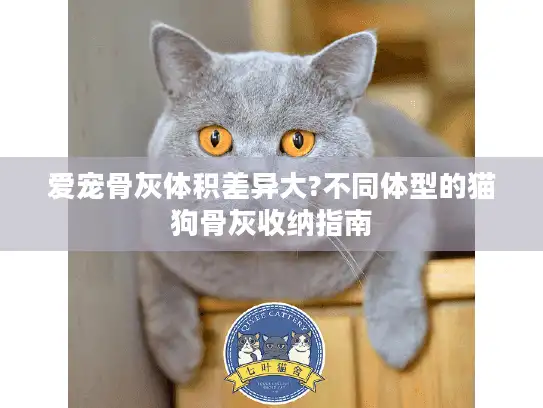 爱宠骨灰体积差异大?不同体型的猫狗骨灰收纳指南
