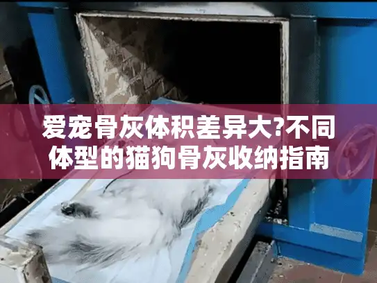 爱宠骨灰体积差异大?不同体型的猫狗骨灰收纳指南