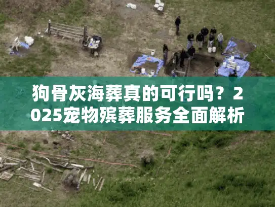 狗骨灰海葬真的可行吗？2025宠物殡葬服务全面解析
