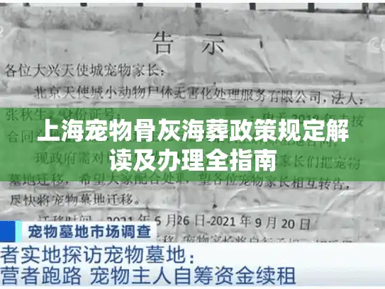 上海宠物骨灰海葬政策规定解读及办理全指南