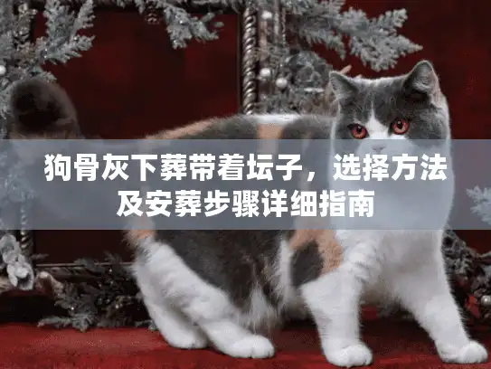 狗骨灰下葬带着坛子，选择方法及安葬步骤详细指南