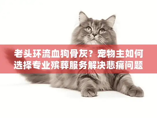 老头环流血狗骨灰？宠物主如何选择专业殡葬服务解决悲痛问题