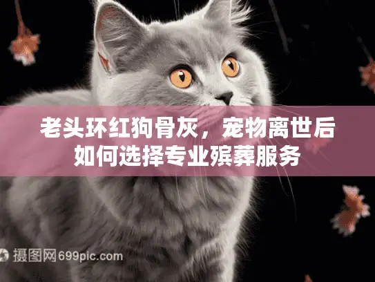 老头环红狗骨灰，宠物离世后如何选择专业殡葬服务