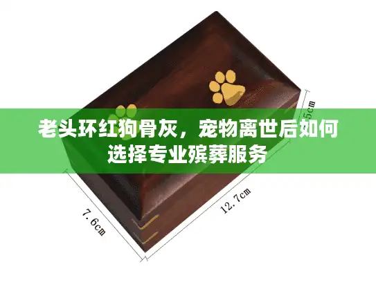 老头环红狗骨灰，宠物离世后如何选择专业殡葬服务