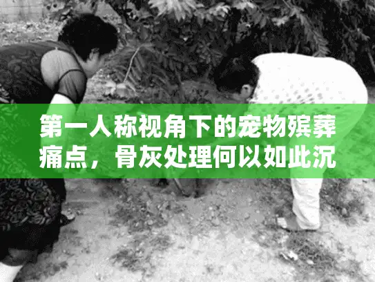 第一人称视角下的宠物殡葬痛点，骨灰处理何以如此沉重？
