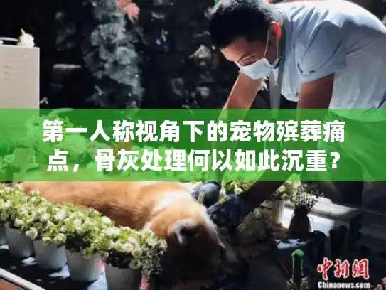 第一人称视角下的宠物殡葬痛点，骨灰处理何以如此沉重？