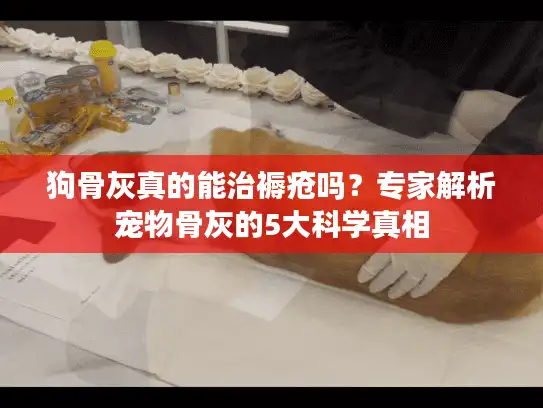 狗骨灰真的能治褥疮吗？专家解析宠物骨灰的5大科学真相