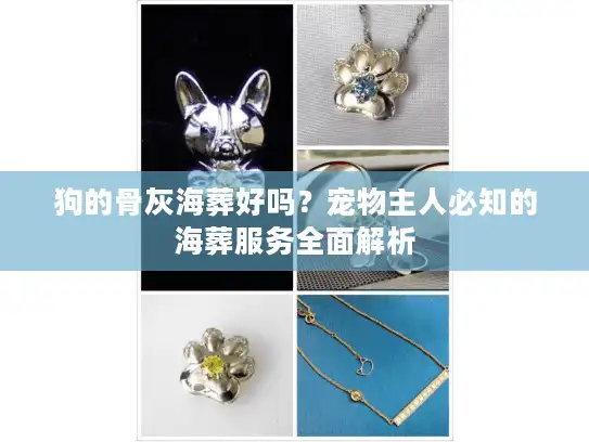 狗的骨灰海葬好吗？宠物主人必知的海葬服务全面解析