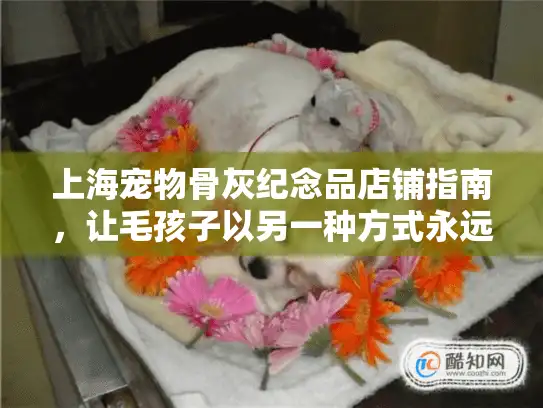 上海宠物骨灰纪念品店铺指南，让毛孩子以另一种方式永远陪伴你
