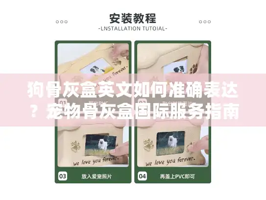 狗骨灰盒英文如何准确表达？宠物骨灰盒国际服务指南！