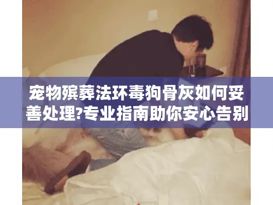 宠物殡葬法环毒狗骨灰如何妥善处理?专业指南助你安心告别