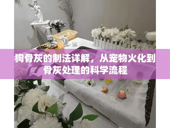 狗骨灰的制法详解，从宠物火化到骨灰处理的科学流程