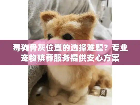 毒狗骨灰位置的选择难题？专业宠物殡葬服务提供安心方案