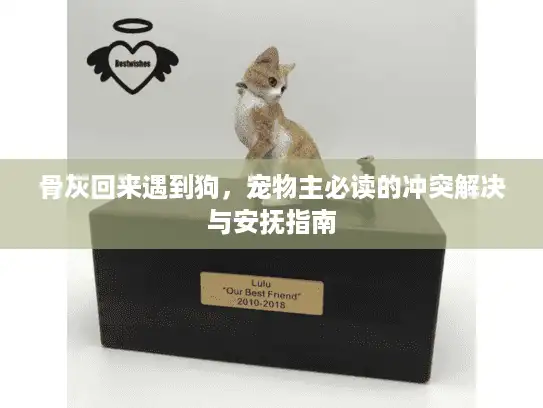 骨灰回来遇到狗，宠物主必读的冲突解决与安抚指南