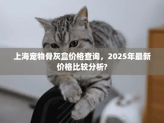 上海宠物骨灰盒价格查询，2025年最新价格比较分析?