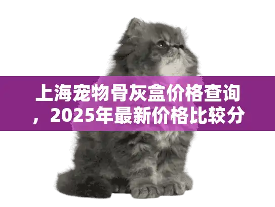 上海宠物骨灰盒价格查询，2025年最新价格比较分析?