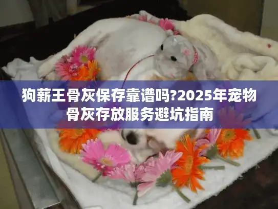 狗薪王骨灰保存靠谱吗?2025年宠物骨灰存放服务避坑指南
