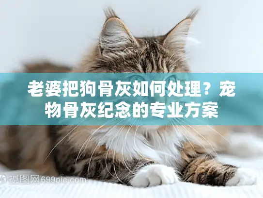 老婆把狗骨灰如何处理？宠物骨灰纪念的专业方案