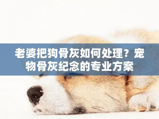 老婆把狗骨灰如何处理？宠物骨灰纪念的专业方案