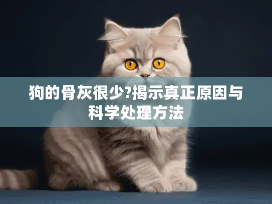 狗的骨灰很少?揭示真正原因与科学处理方法